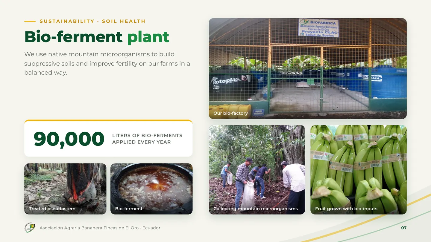 Bio-ferment plant