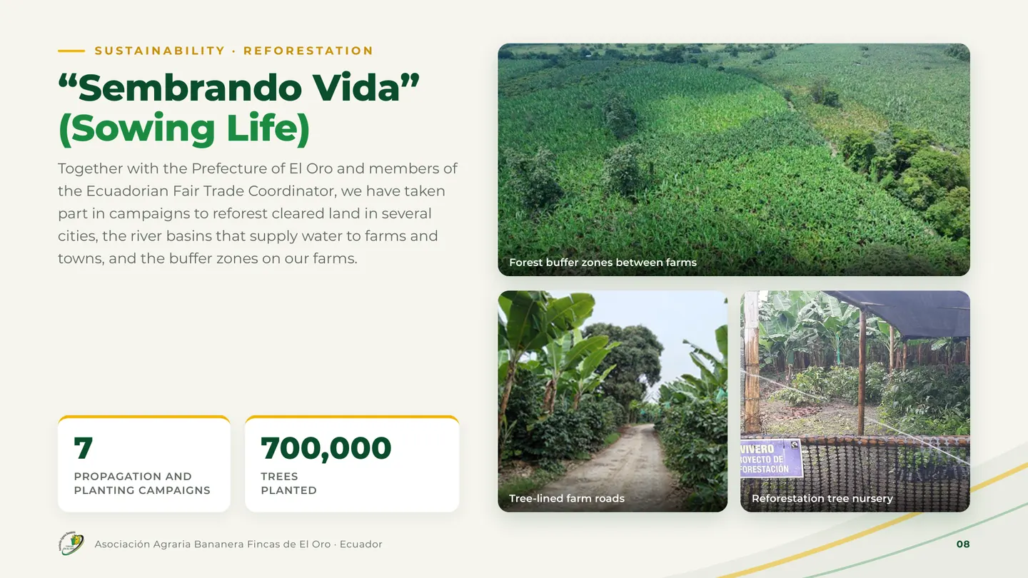 Sembrando Vida (Sowing Life)