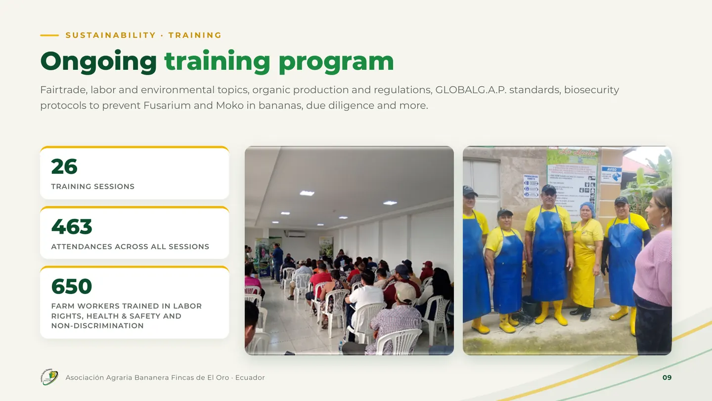 Ongoing training program