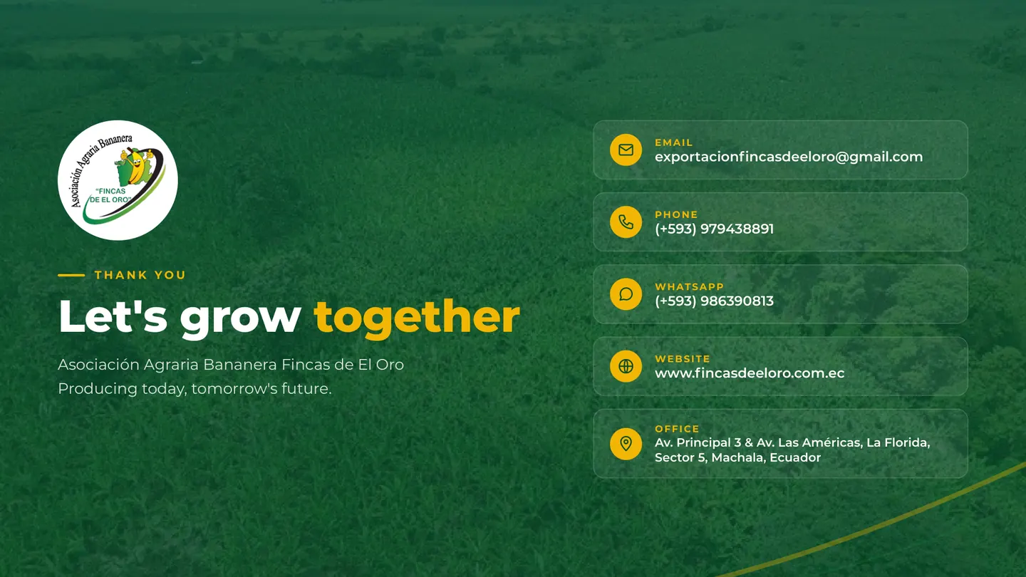 Let's grow together